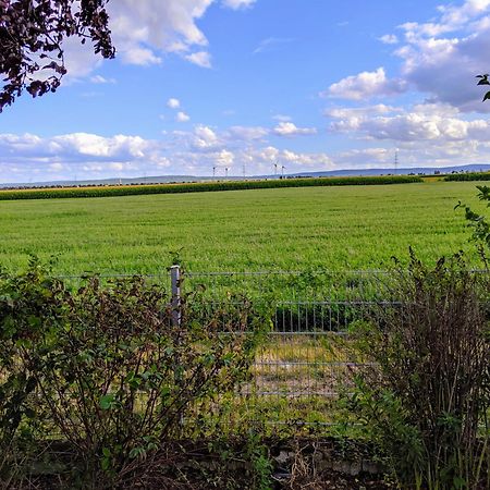 Grosse Schoenheit Mit Panoramablick Euskirchen Εξωτερικό φωτογραφία